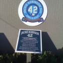 All of Major League Baseball retired 42 in honor of Jackie Robinson