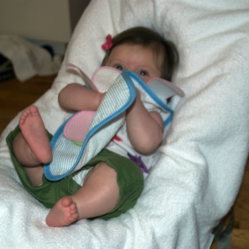 Before having the food, the bib is a good appetizer!