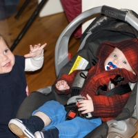 The two buddies hanging out...