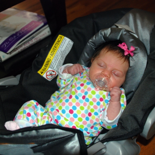 SaraRose/2007/02/wonderbread/Images/