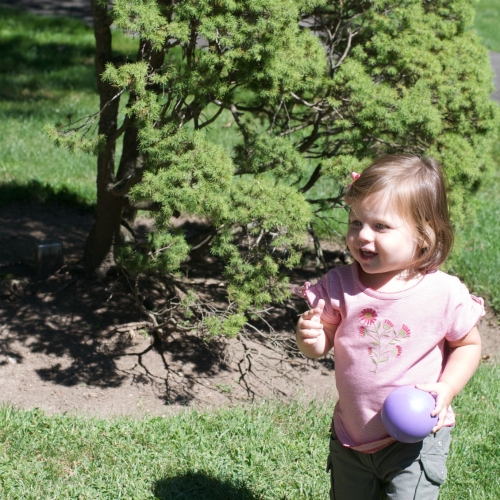Peanut playing in the field