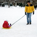 Pulling the sled